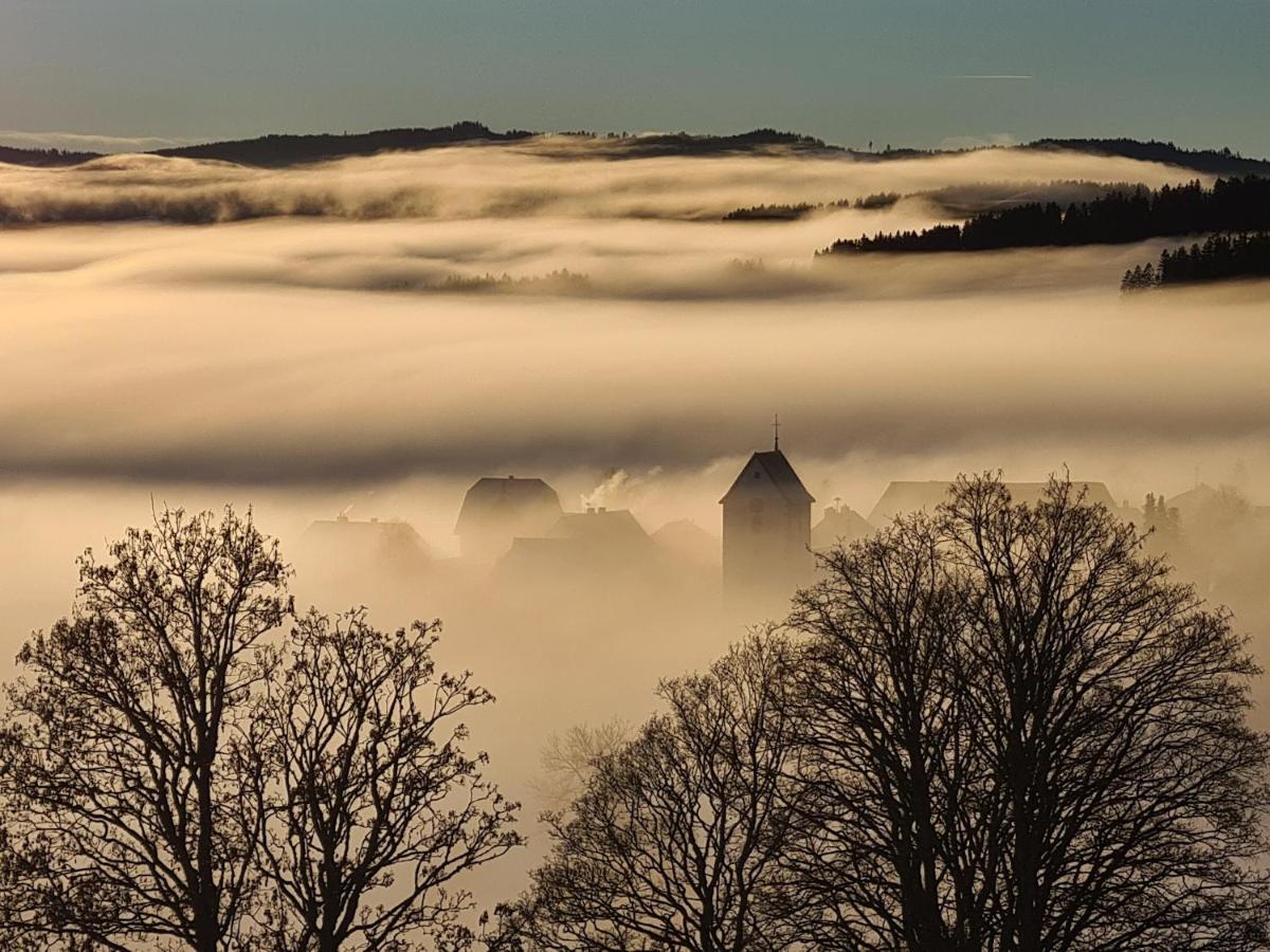 Jufa Hotel Schwarzwald Lenzkirch Exteriér fotografie